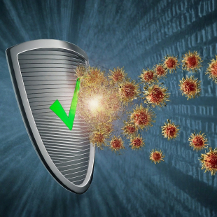Antivirüs Koruma
